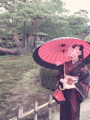 �����̌��k