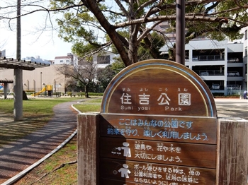 �����Y�G�X�e